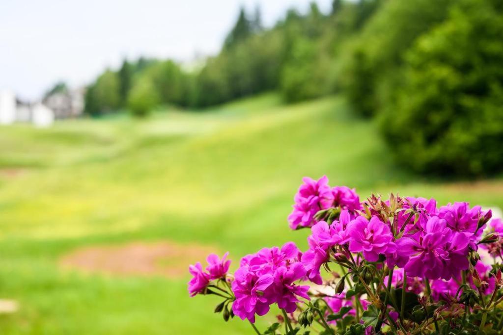 Appartamento Tulipano Andalo Luaran gambar