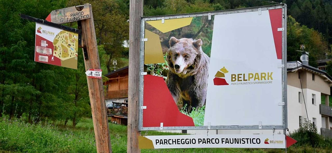 Appartamento Tulipano Andalo Luaran gambar